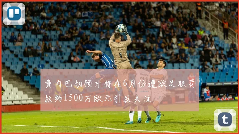 费内巴切预计将在6月份遭欧足联罚款约1500万欧元引发关注
